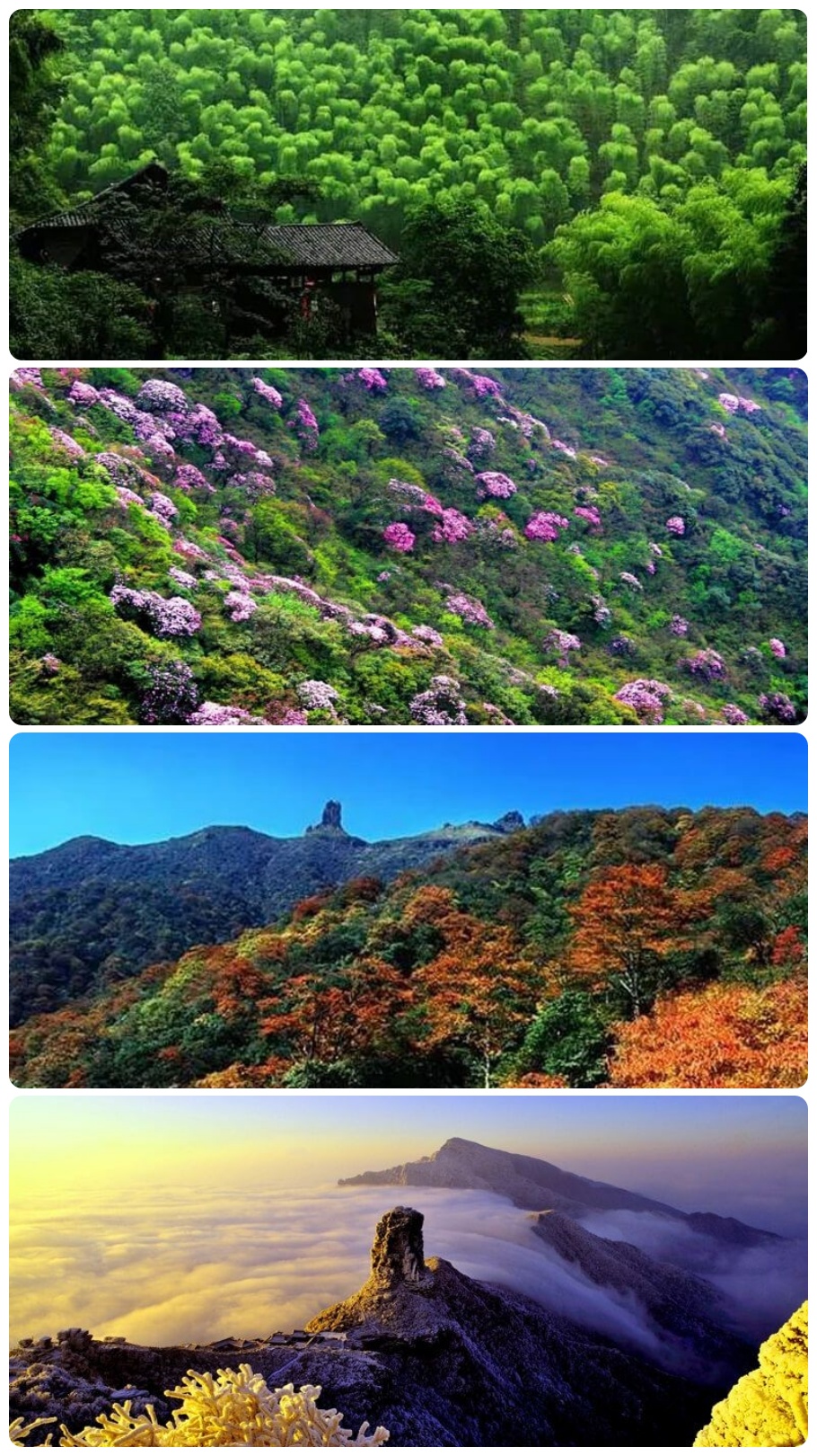 Fanjingshan Four Seasons
