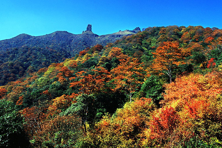 Fanjingshan Autumn