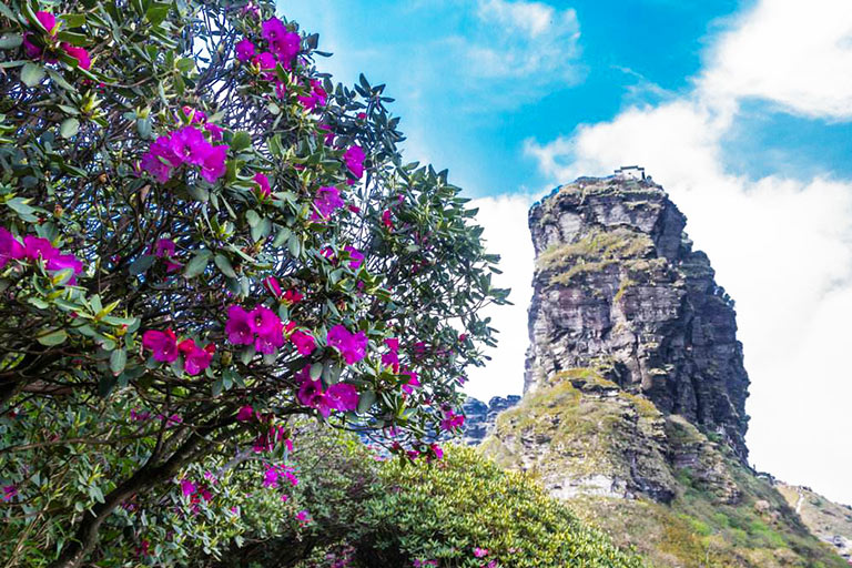 Fanjingshan Spring