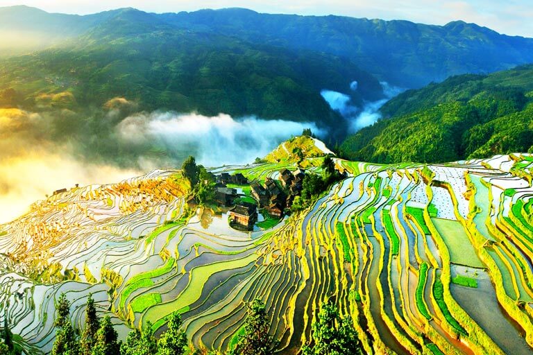 Jiabang Rice Terraces