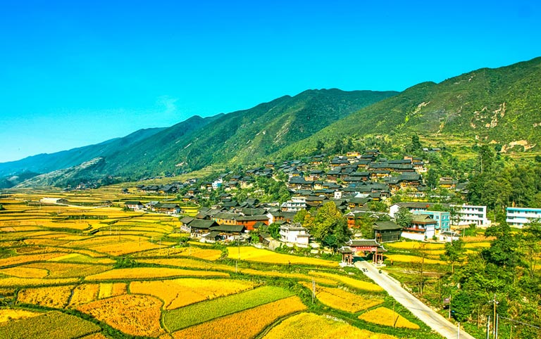 Qingman Miao Village