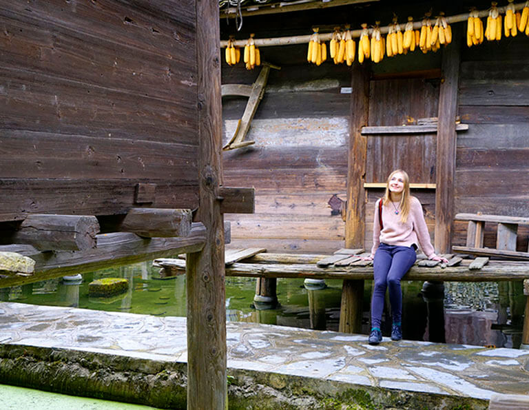 Wooden Granaries on Water at Xinqiao Miao Village