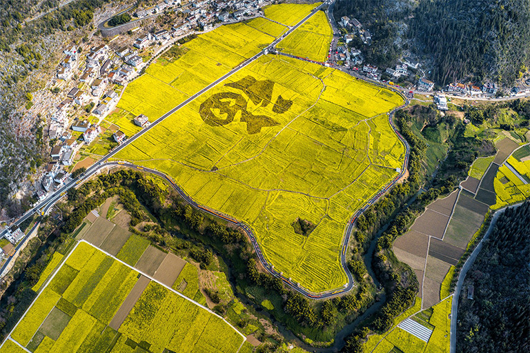 Fuzi Field Wanfenglin