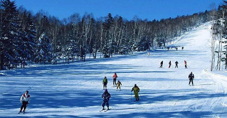 Skiing in Ski Resort