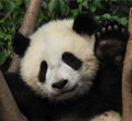 China Tours
