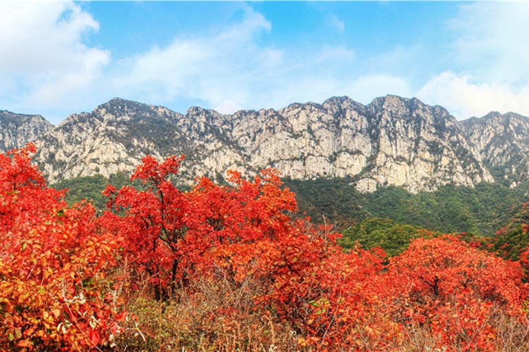 Pretty Autumn Scenery of Mount Song Henan Attractions