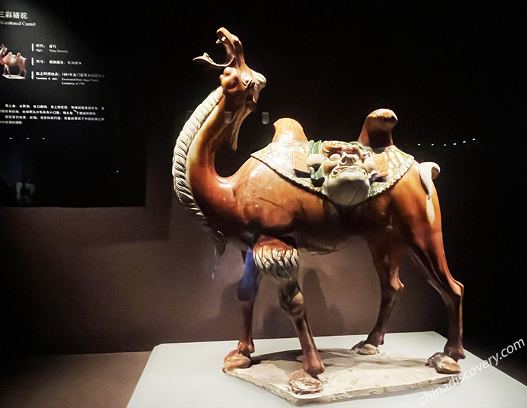 Exquisite tri-colored glazed potteries in Luoyang Museum 