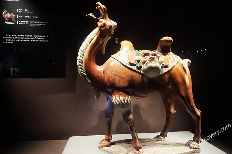 Exquisite tri-colored glazed potteries in Luoyang Museum 