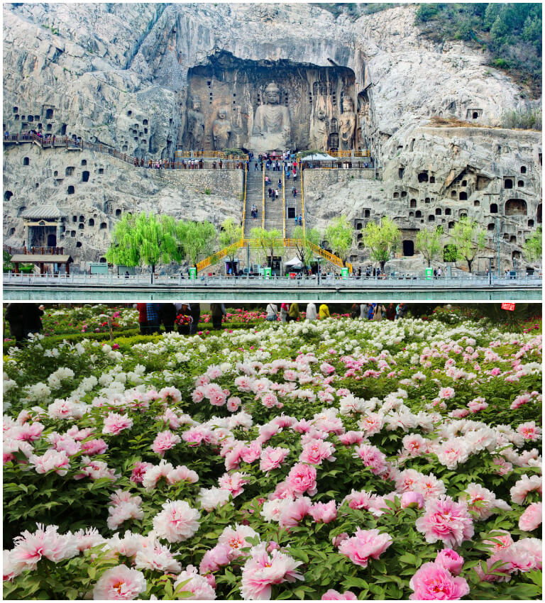 Spring in Henan