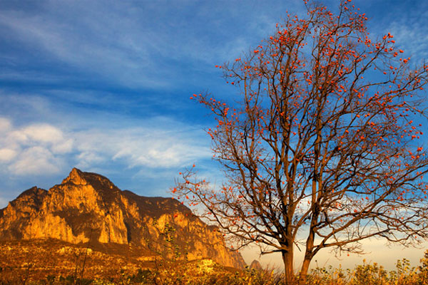 Yuntai Mountain