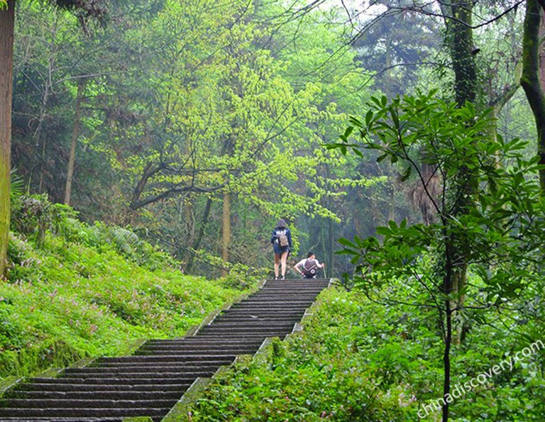 Hiking along stone steps of Mount Emei