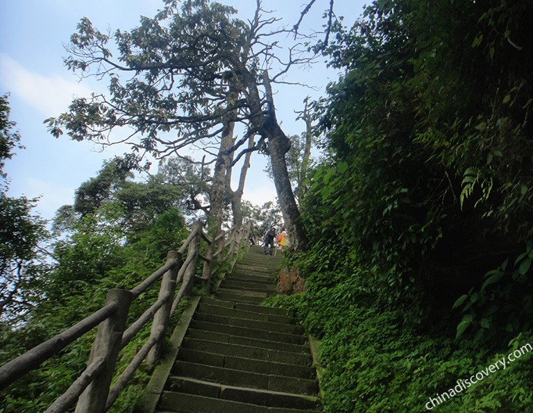 Mount Emei Hiking