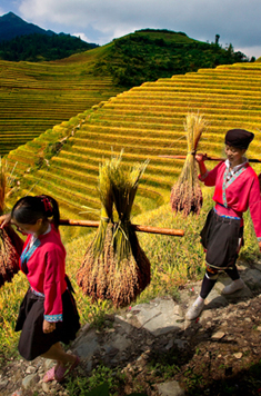 Hiking in China