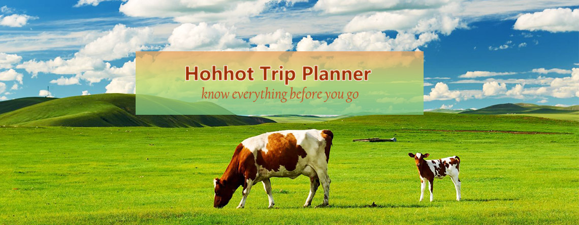 Hohhot Trip Plan