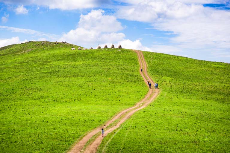 Hohhot Things to Do & Attractions - Inner Mongolia Hadamen National Forest Park