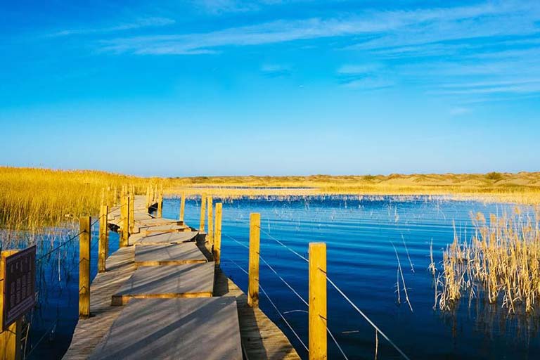 Hasu Lake Hohhot Attractions & Things to Do - Hasu Lake