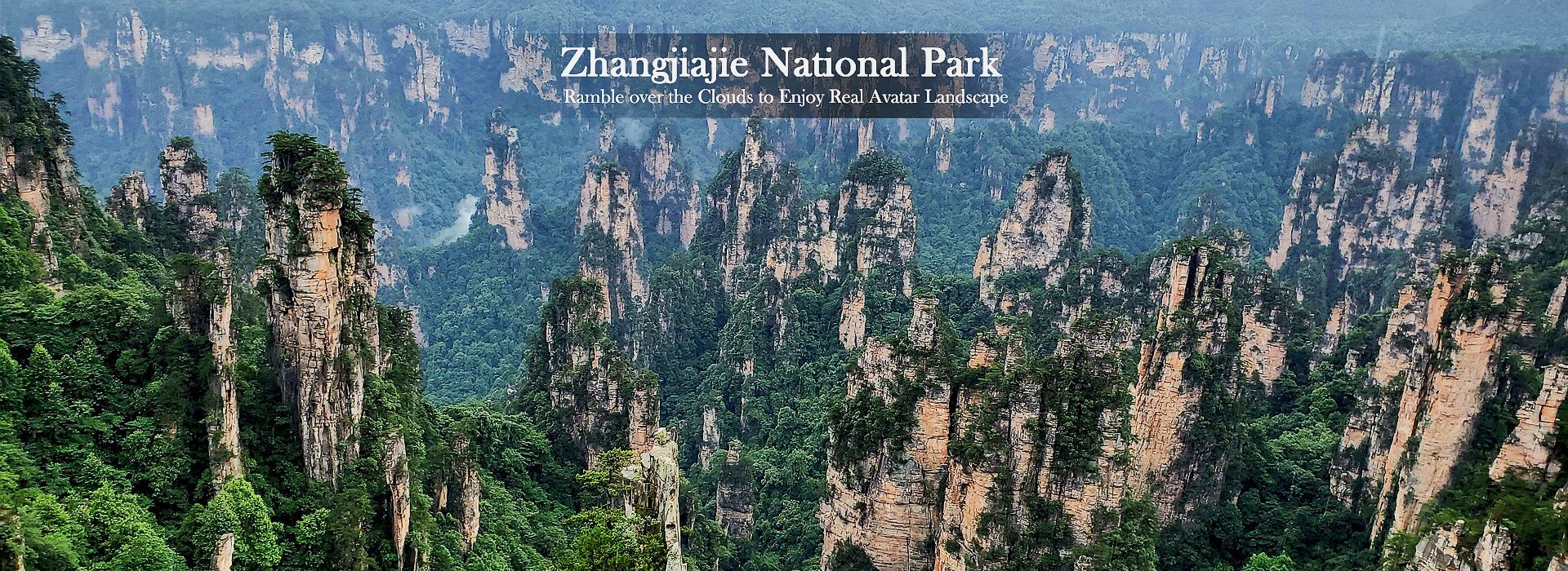 China Travel Agency 2025
