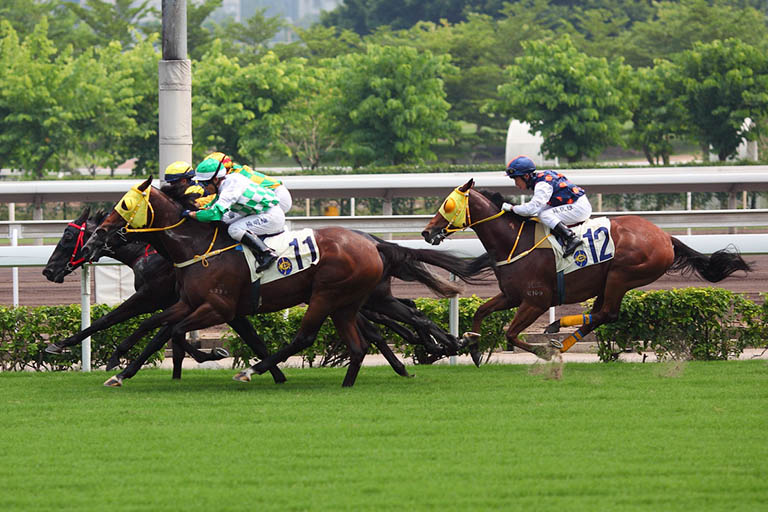 Horce-racing Tracks in Hong Kong