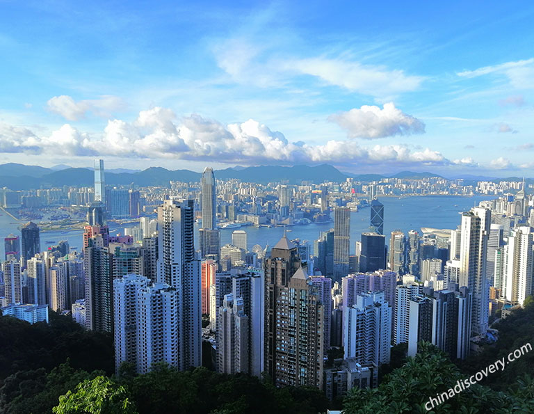 Panoramic View from Victoria Peak during Daytime