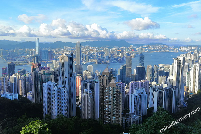 Panoramic View from Victoria Peak during Daytime