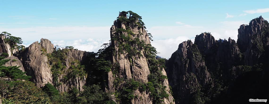 Shanghai Huangshan Tour 2024