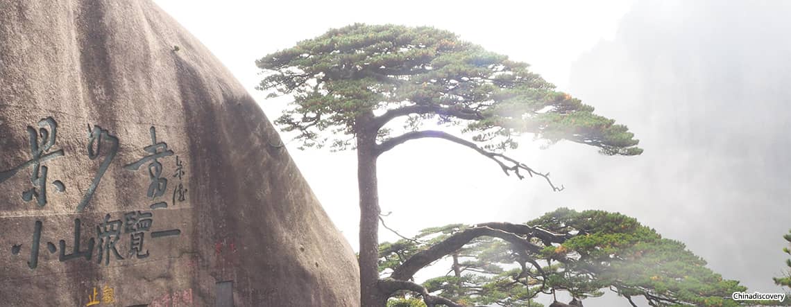 Huangshan Tour 2025