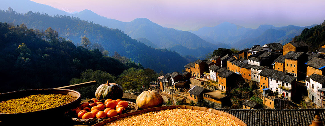 Huangshan Autumn Tour 2024