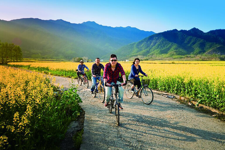 Tourists Enjoy Bishan Biking through Rape Flowers in April Huangshan Biking Tour