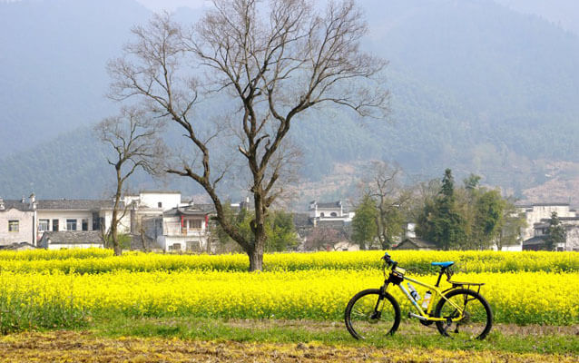 Biking around Hongcun Ancient Village