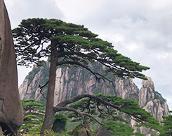 Mt. Huangshan