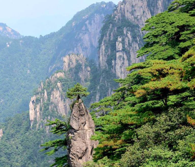 Pen Flower Peak
