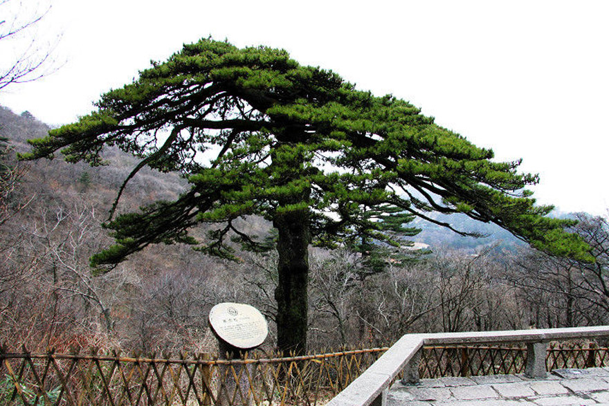 Huangshan Mountain