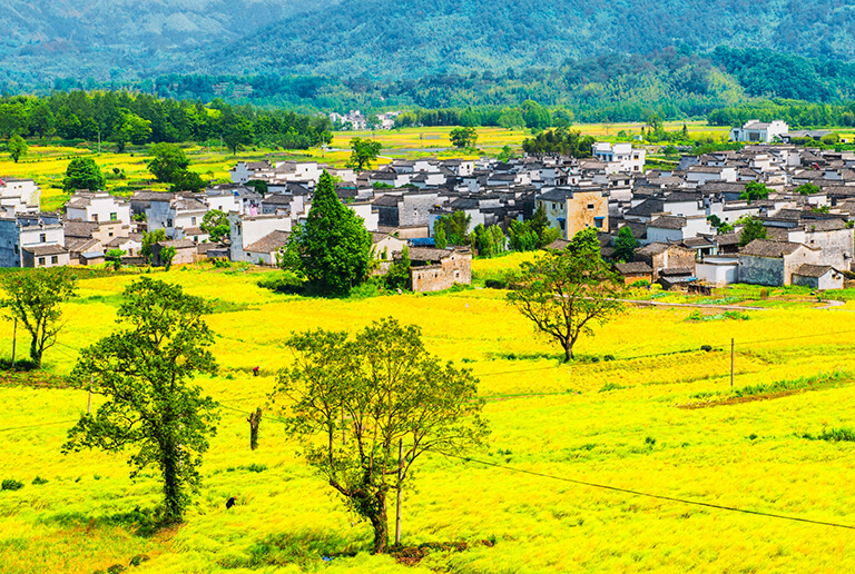 Huangshan Lucun Village