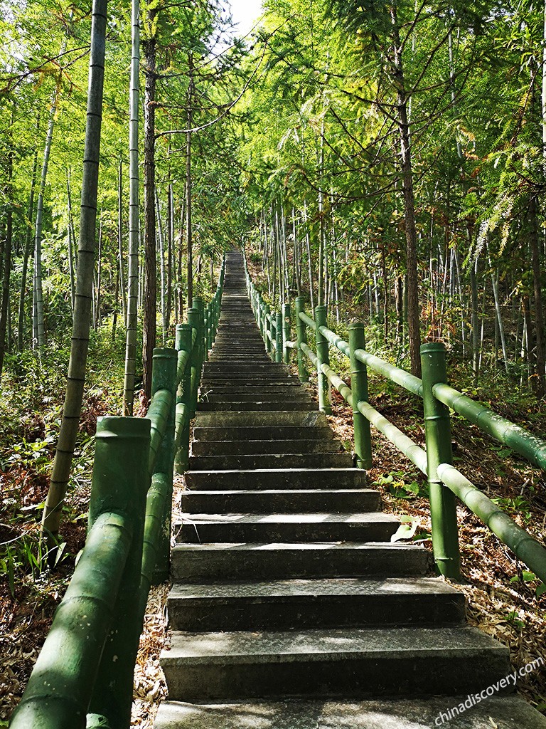 Hiking Stair up to Liujia Pavilion Mukeng Bamboo Forest