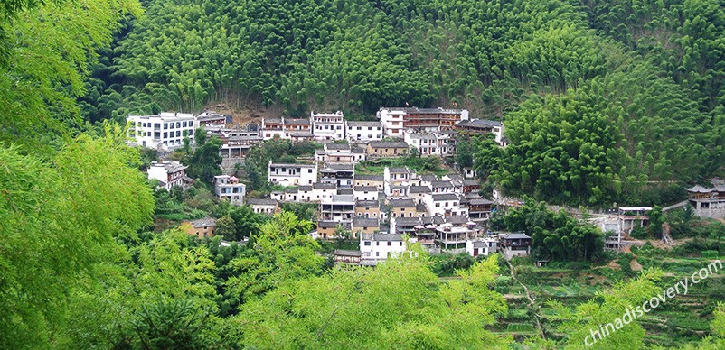 Mukeng Bamboo Forest