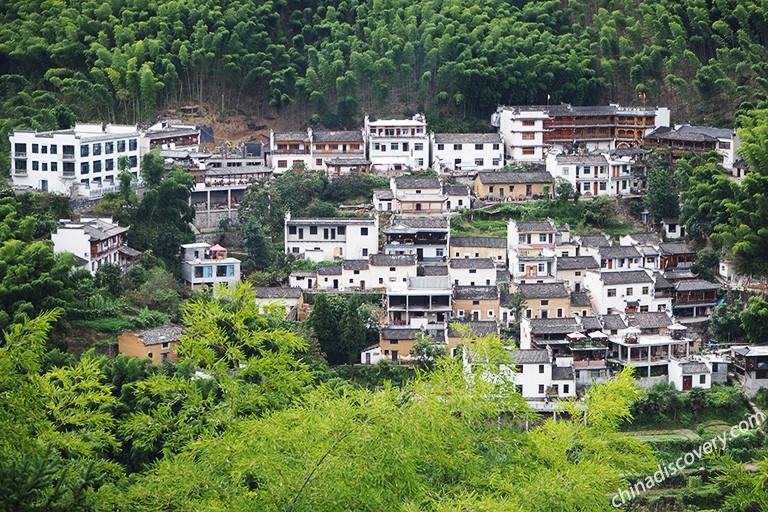 Tranquil Mukeng Village Mukeng Bamboo Forest