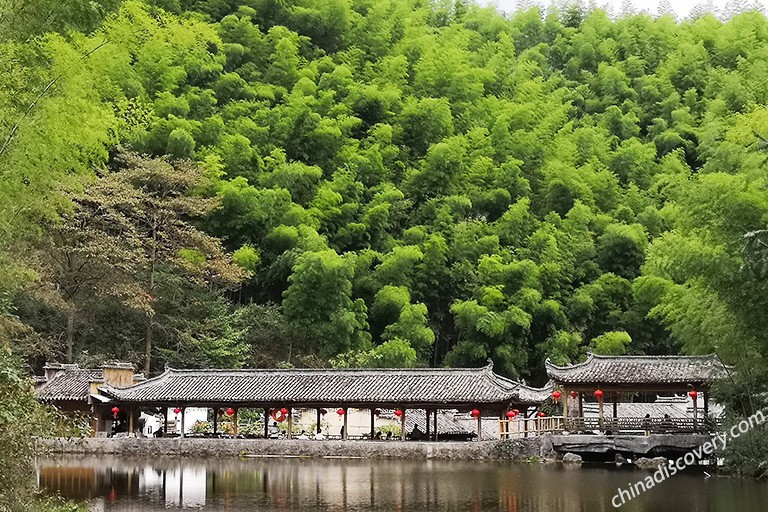 Mukeng Bamboo Forest