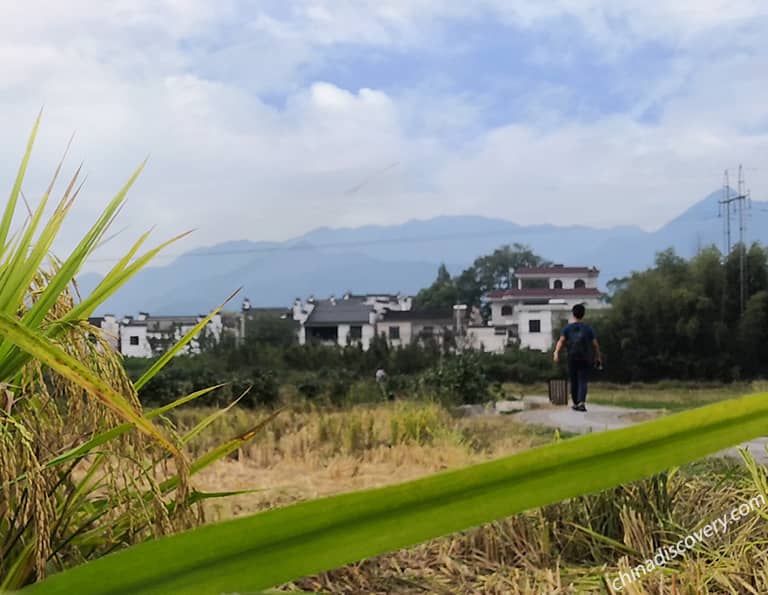 Peaceful and Authentic Nanping Village