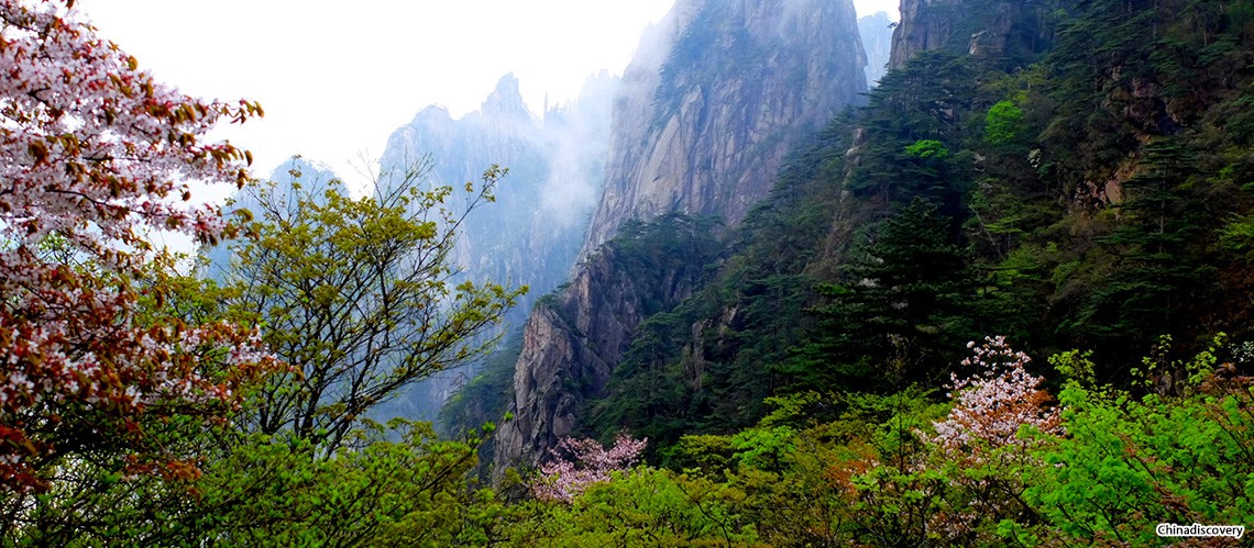 Huangshan Yellow Mountain Spring Weather