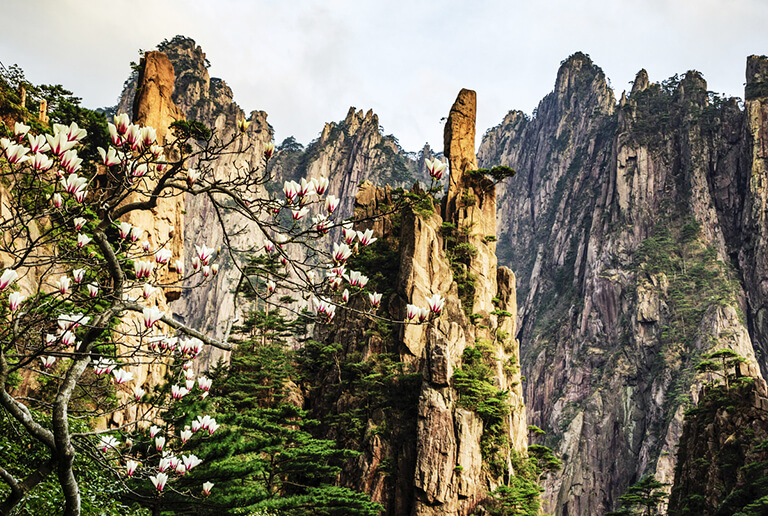 Huangshan Yellow Mountain Spring Weather