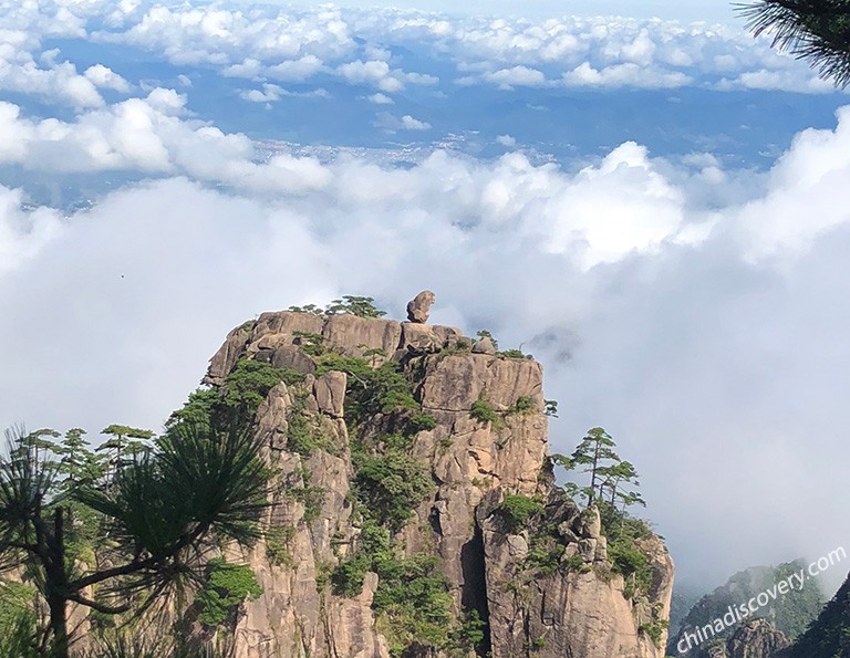 Shanghai Huangshan Tours