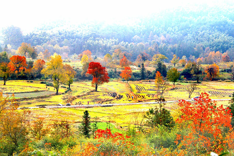 Tachuan Ancient Village