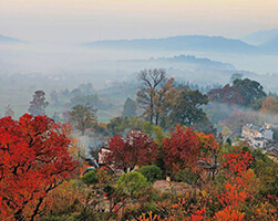 Tachuan Village