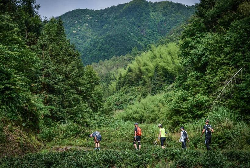 Huangshan trekking Tour