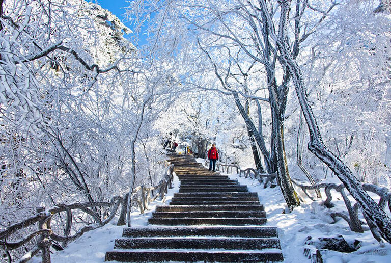 Huangshan Hiking Path in Winter Huangshan Yellow Mountain Winter Hiking Path
