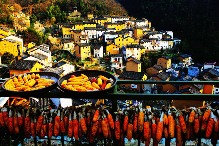 Shaiqiu (Crops Drying) in Yangchan Village