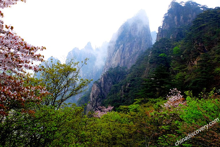 Huangshan Spring