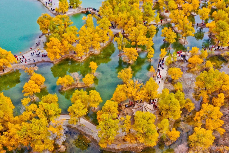 Overlook Jinta Populus Euphratica Forest Populus Euphratica Forests in China
