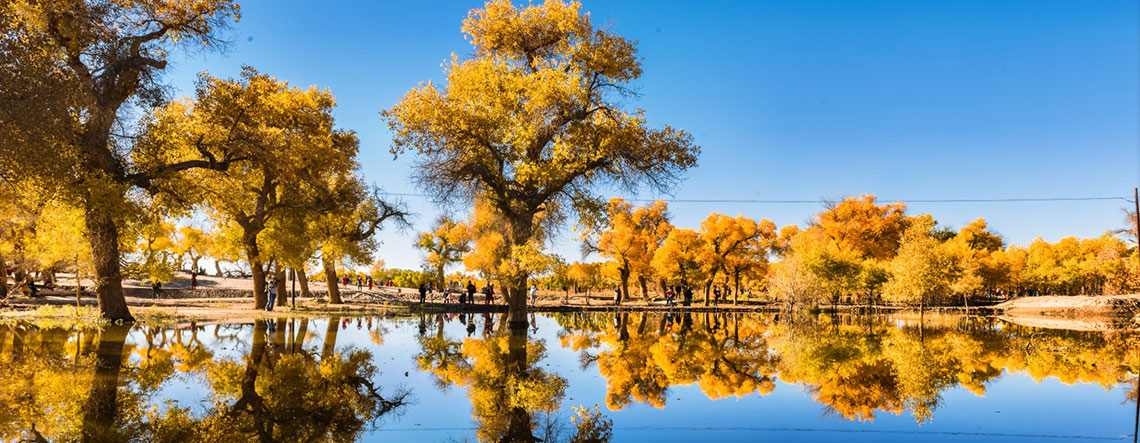 6 Days Ejina Populus Euphratica & Badain Jaran Desert Sightseeing Tour 2025