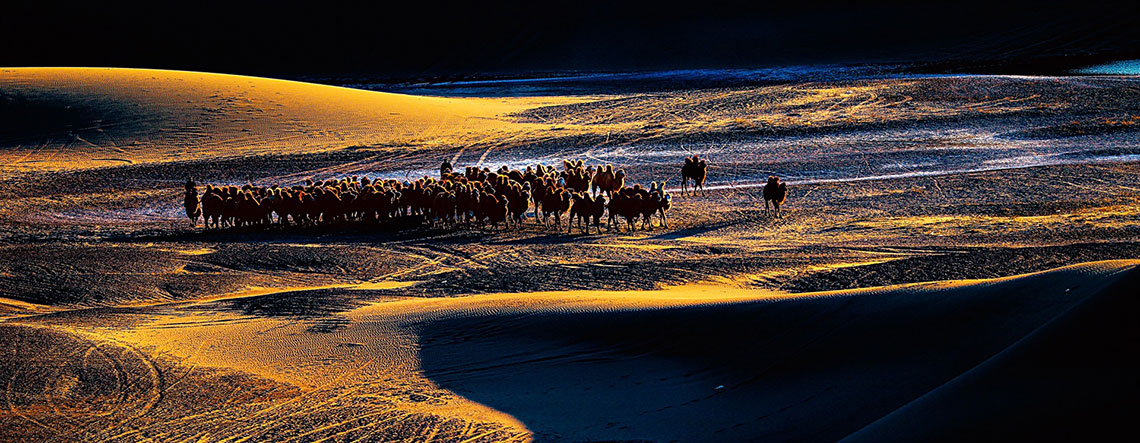 4 Days Ejina Populus Euphratica Forest Photography Tour 2024